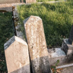 Споменик Живојину Старчевићу на гробљу у Равањском пољу, Равни (фото Бојан Радојичић)