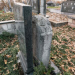 Споменик Ивану Старчевићу на гробљу у Равањском пољу, Равни (фото Бојан Радојичић)