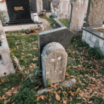 Споменик Ивану Старчевићу на гробљу у Равањском пољу, Равни (фото Бојан Радојичић)