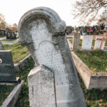 Споменик Рајку Петровићу на гробљу у Равањском пољу, Равни (фото Бојан Радојичић)