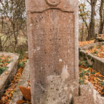 Споменик Драгомиру Ерићу на гробљу у селу Вране, Скржути (фото Бојан Радојичић)