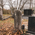 Споменик Миливоју Ђоковићу на гробљу у селу Вране, Скржути (фото Бојан Радојичић)