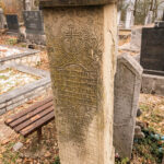 Споменик Драгоју Милојевићу на гробљу у селу Вране, Скржути (фото Бојан Радојичић)