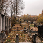 Лазића гробље у Трнави (фото Бојан Радојичић)